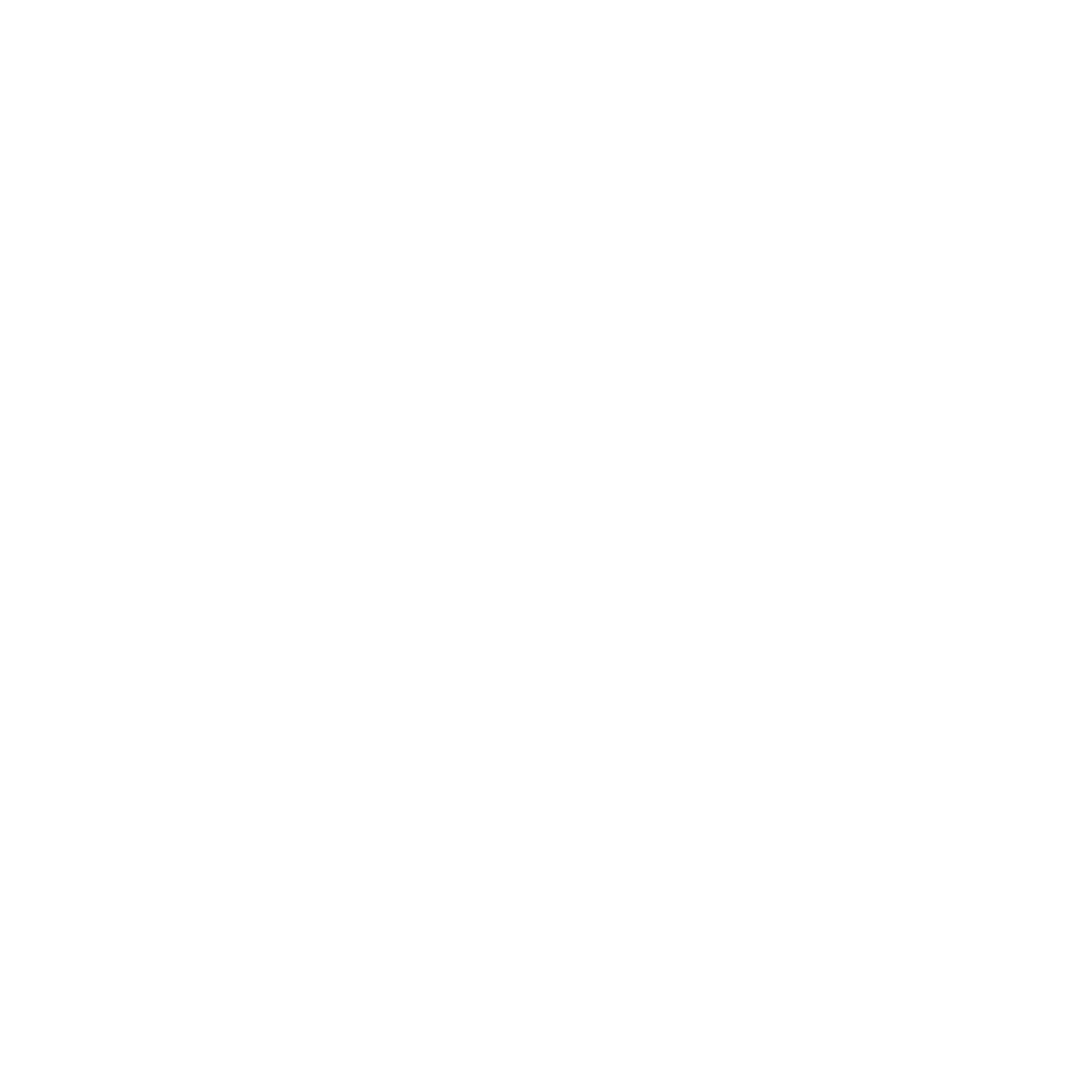 Reni Rácz Photo logó